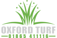 Logo-11-e1645050160625
